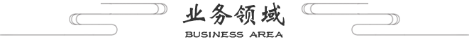 業(yè)務(wù)領(lǐng)域